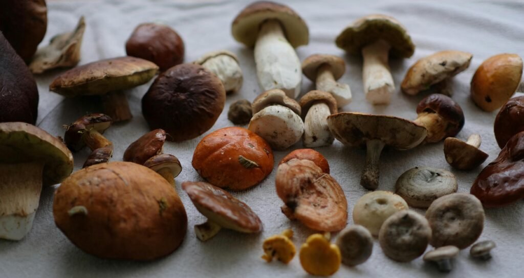 diarrhea last with food poisoning